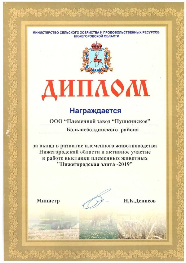 diplom-1