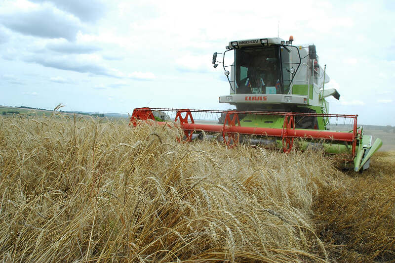 traktor-4